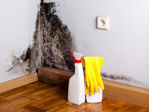 5 Tips for Preventing and Removing Bathroom Mold